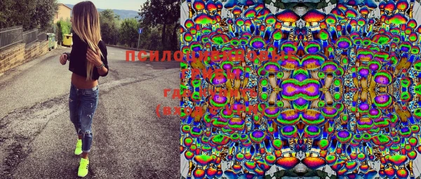 ПСИЛОЦИБИНОВЫЕ ГРИБЫ Баксан