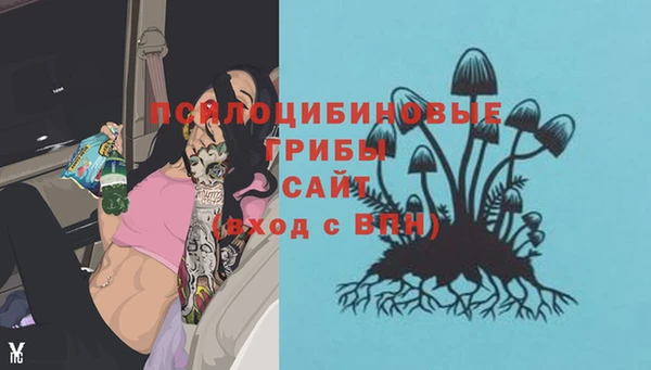 МДПВ Балахна