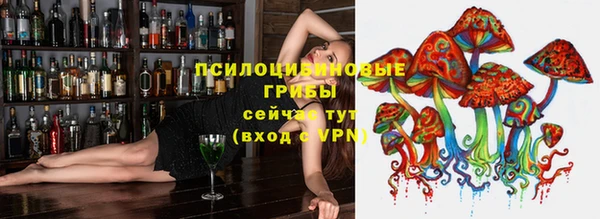ПСИЛОЦИБИНОВЫЕ ГРИБЫ Баксан