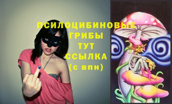 МДПВ Балахна